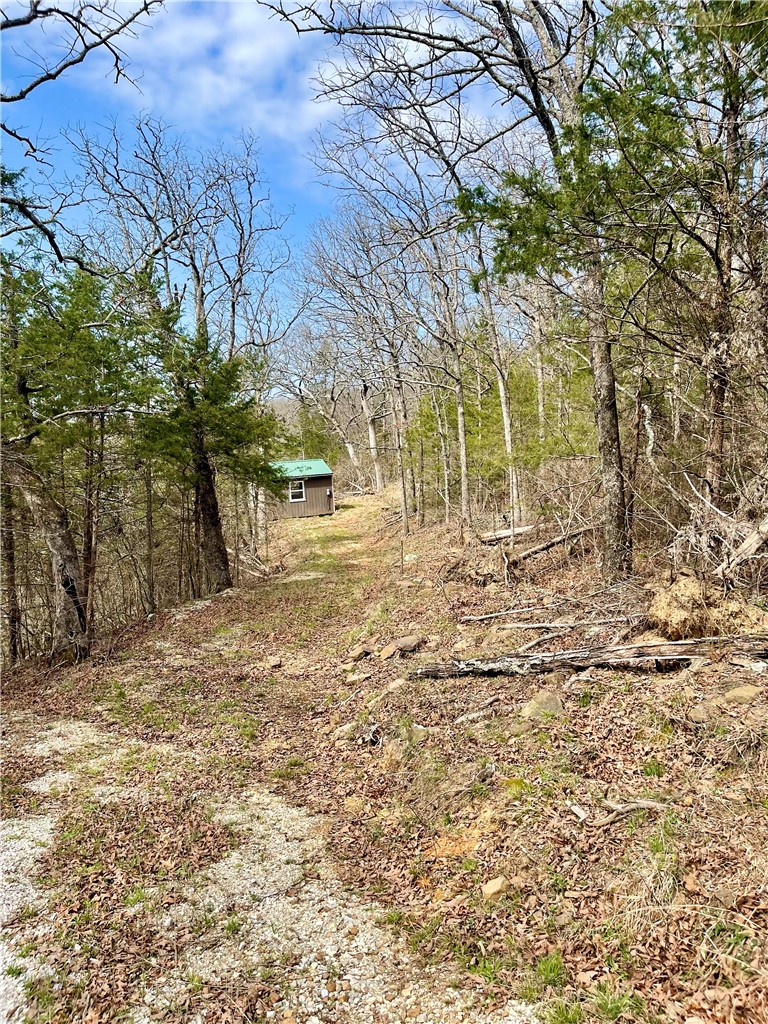 Image 10
