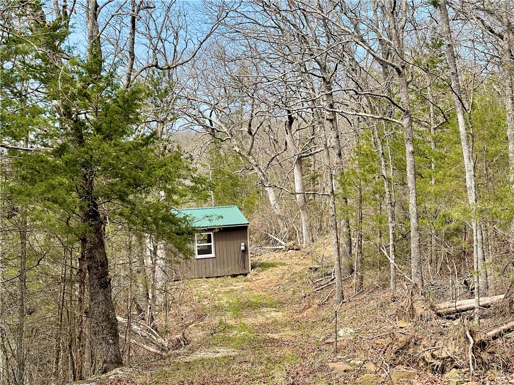 Image 11