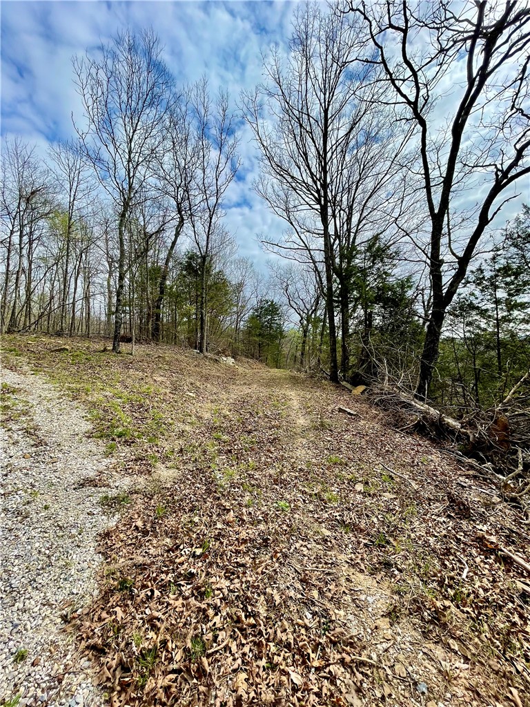 Image 12