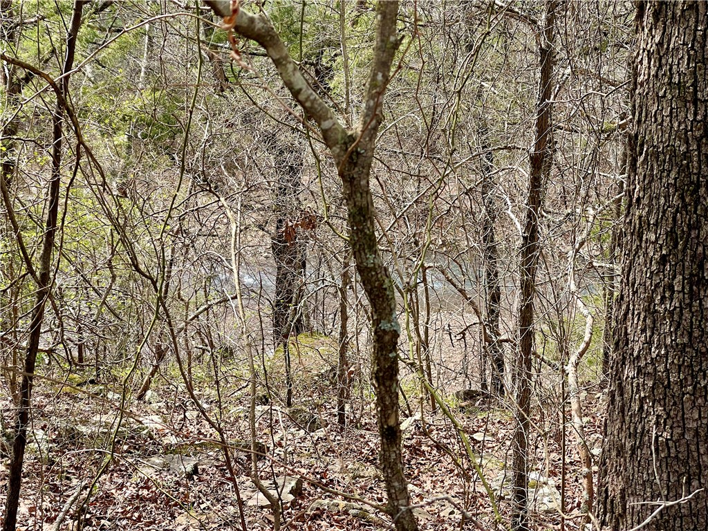 Image 13