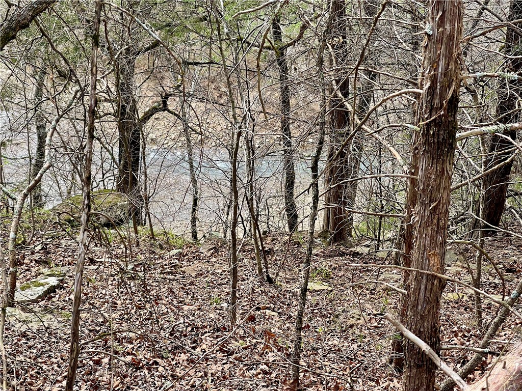 Image 14