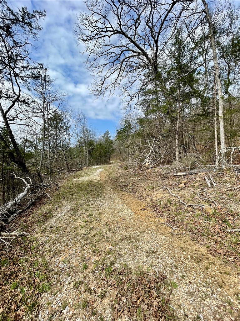 Image 15