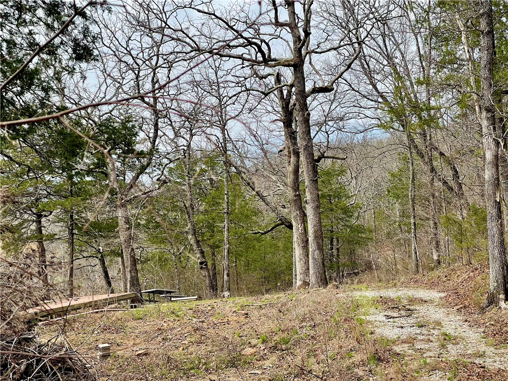 Image 18