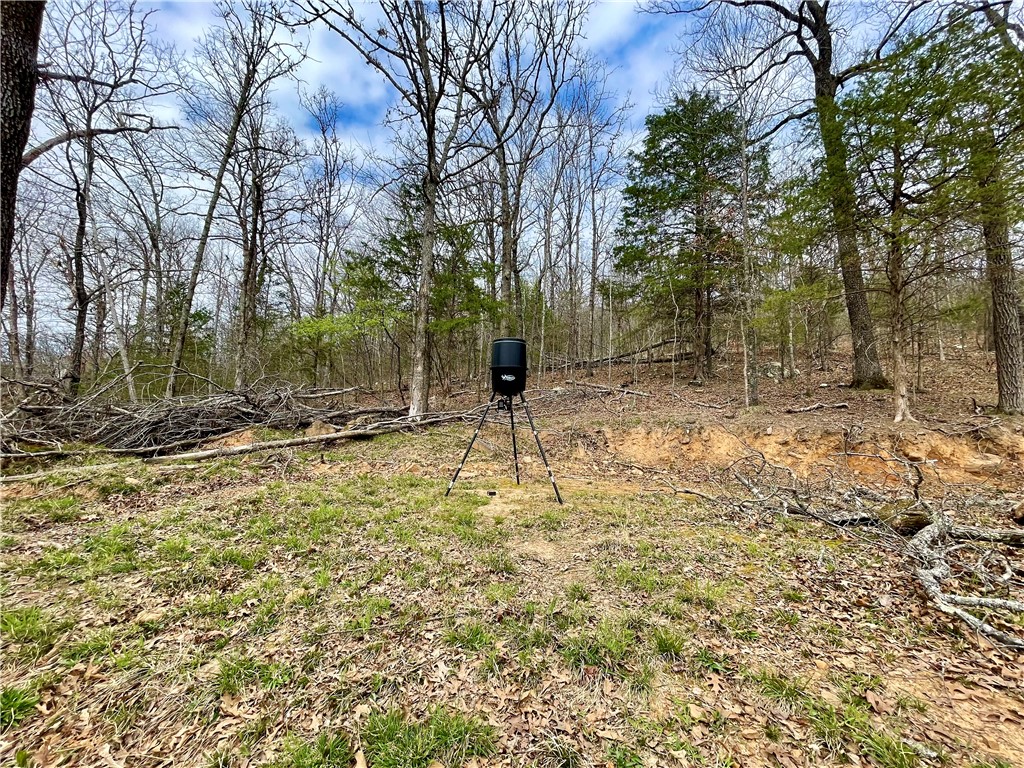 Image 19