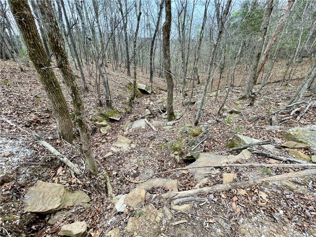 Image 30
