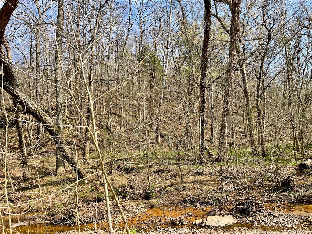 Image 38