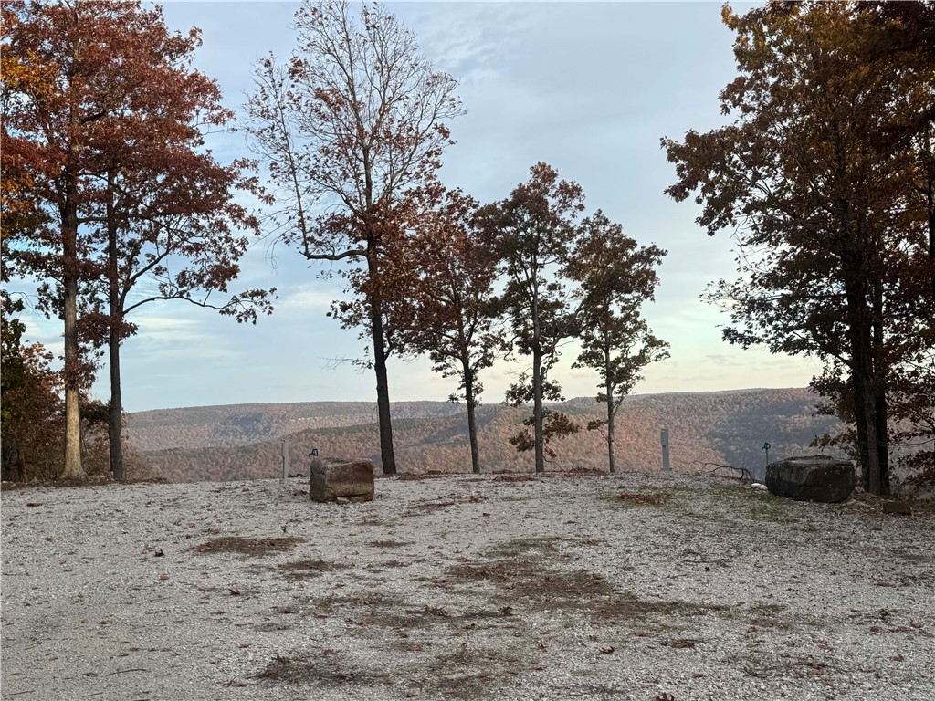 Image 19