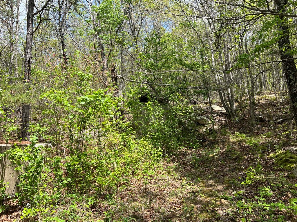 Image 51