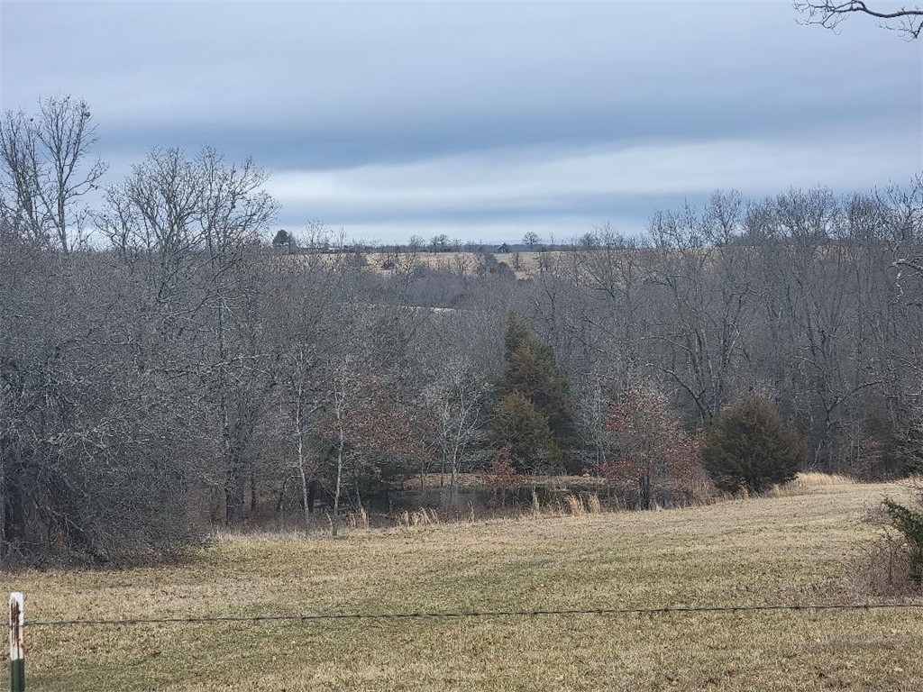 Image 14