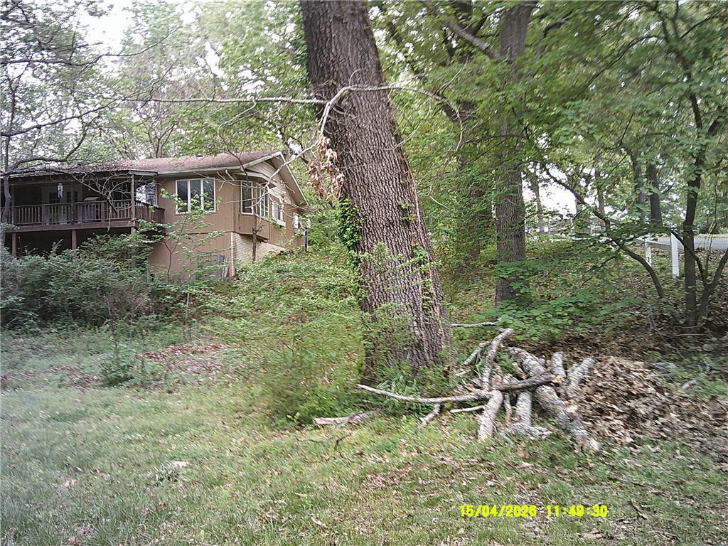 Image 9
