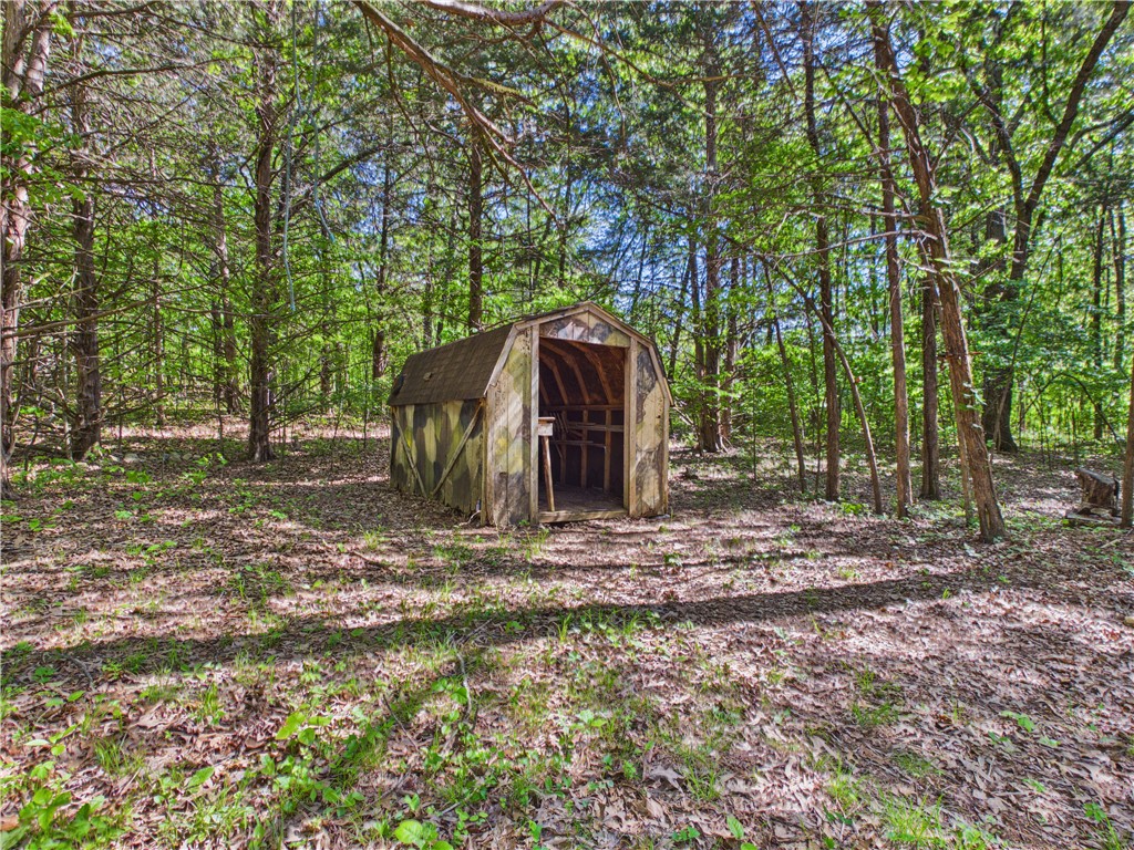 Image 15