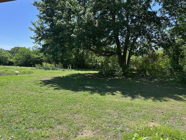 Image 18