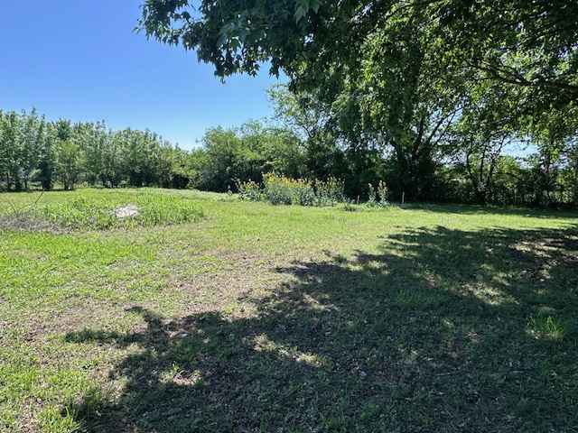 Image 20