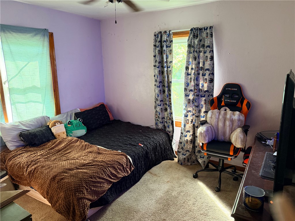Image 10