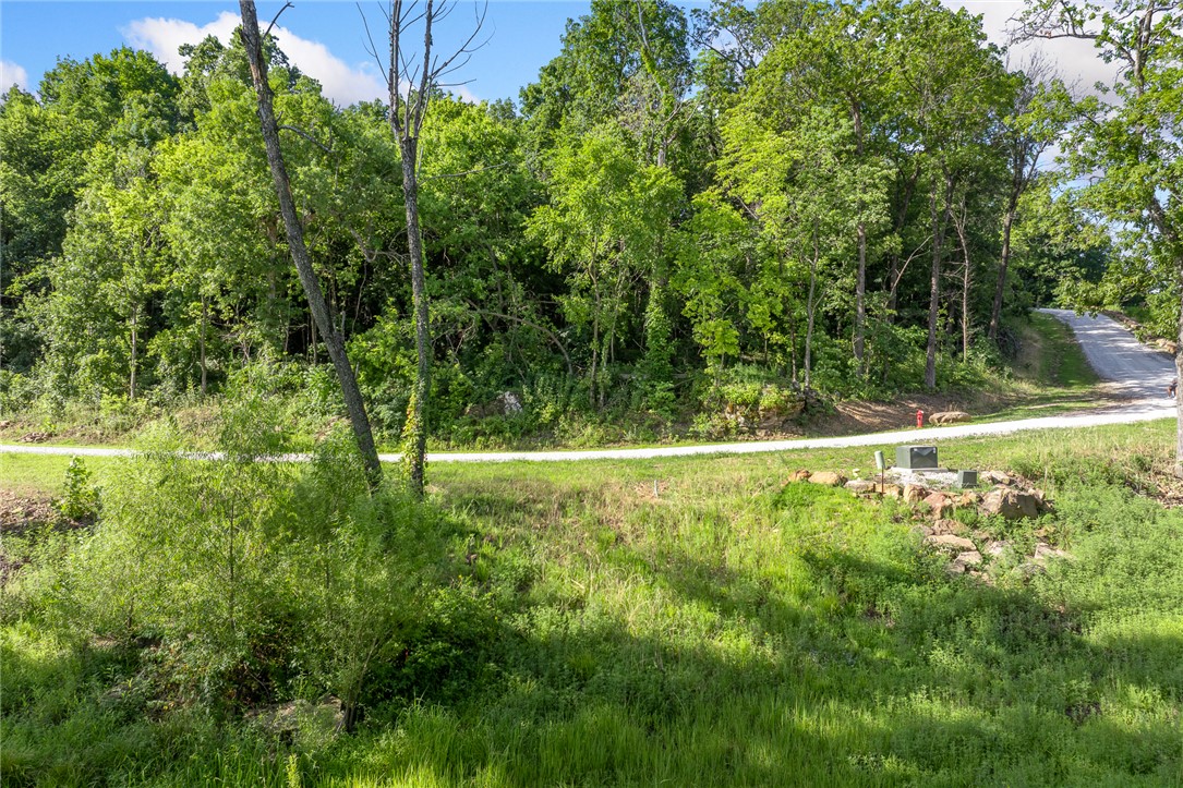 Image 12