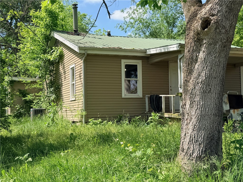 Image 15