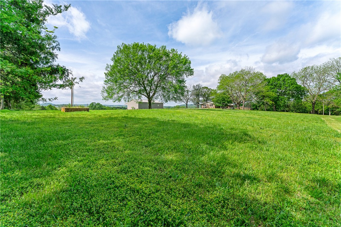 Image 35