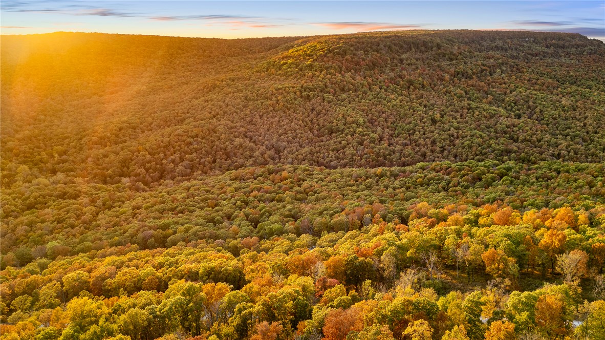 Image 27