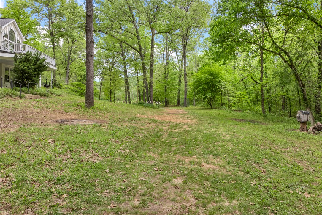 Image 52