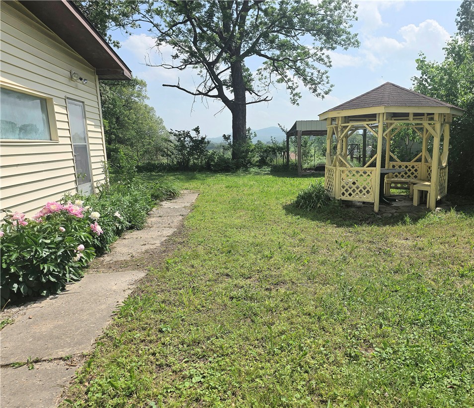 Image 11