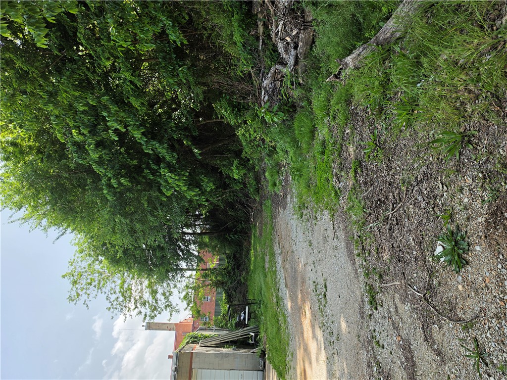 Image 20