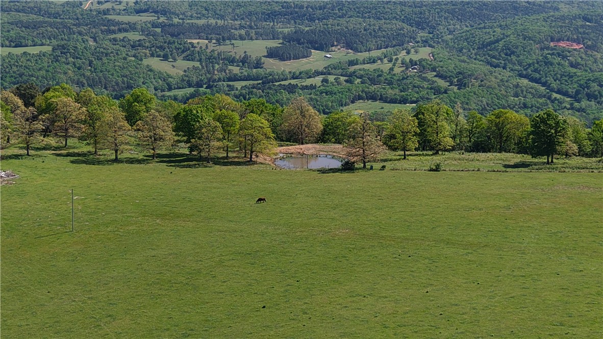 Image 14