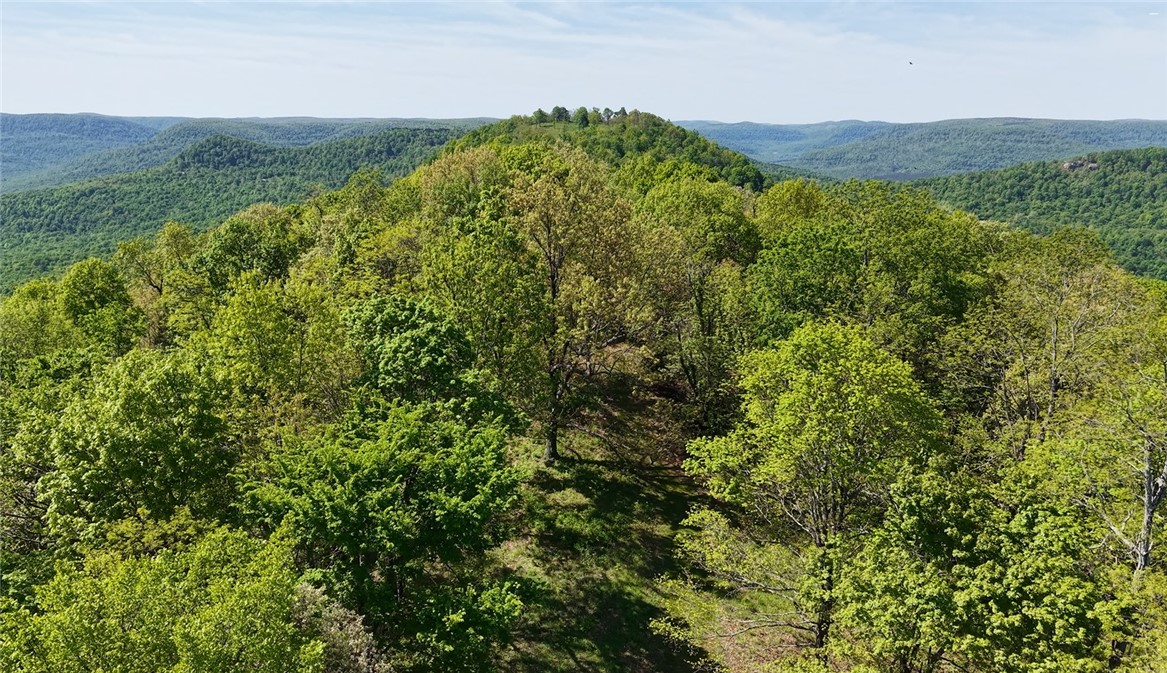 Image 31