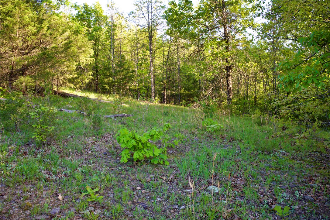 Image 10