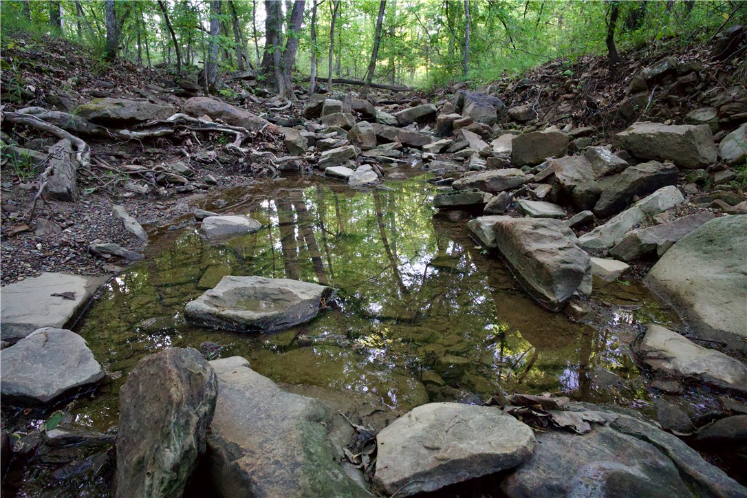 Image 15