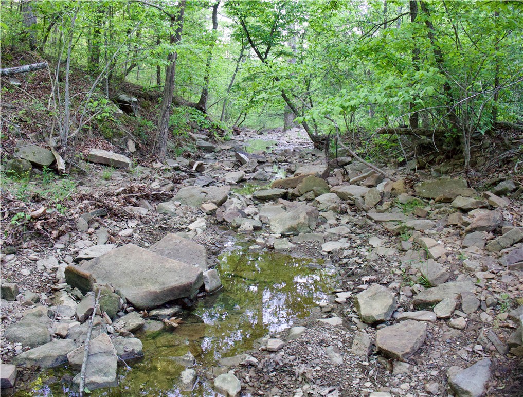 Image 18