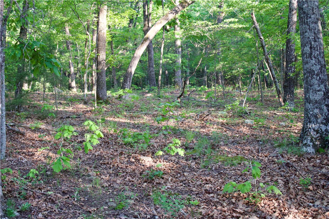 Image 19