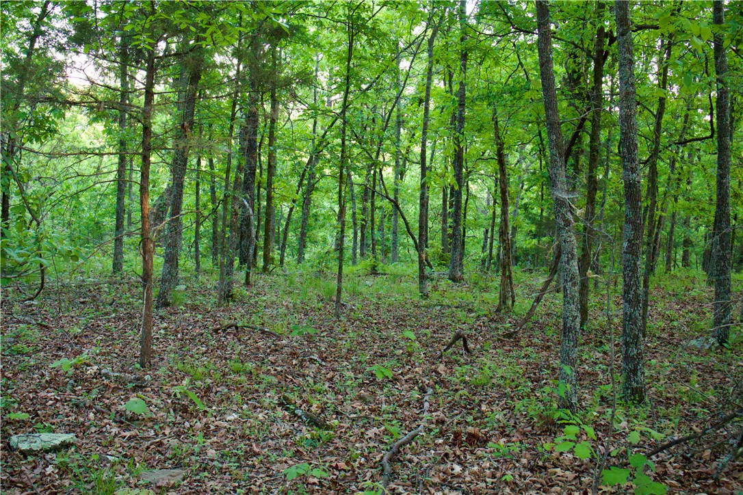 Image 31