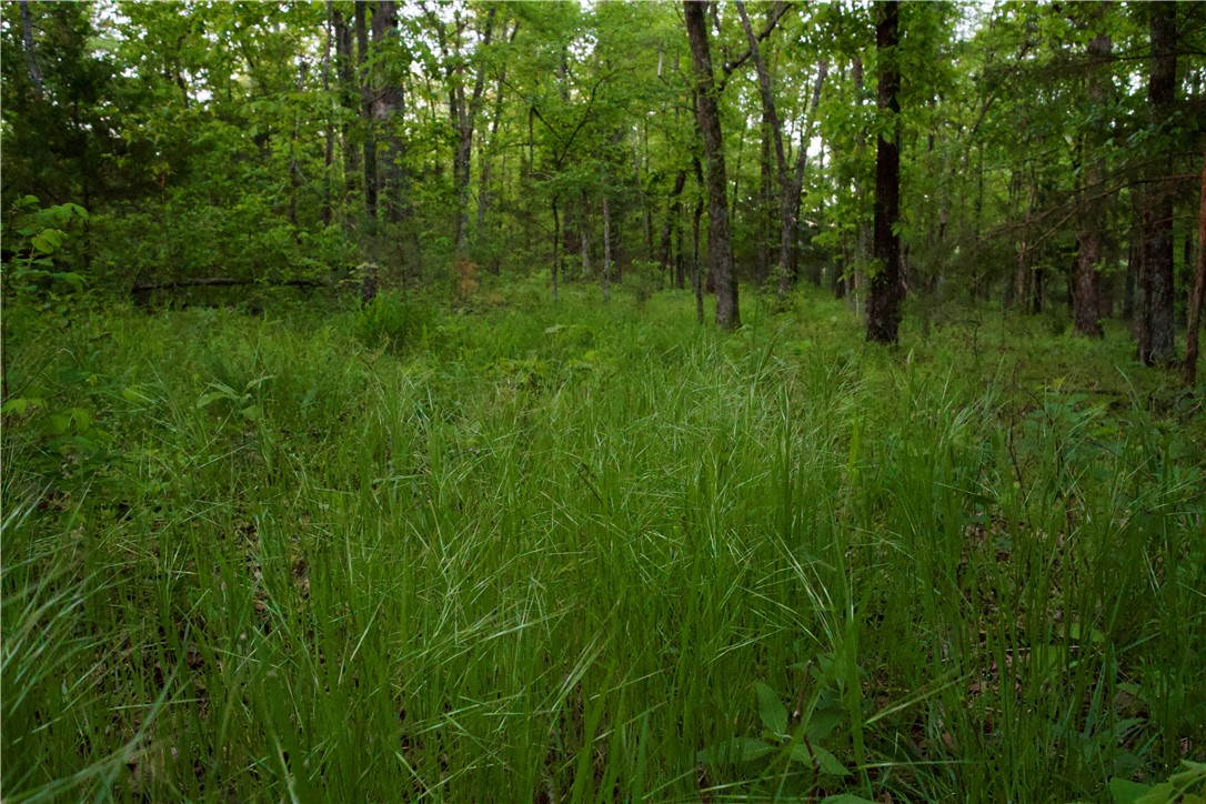 Image 41