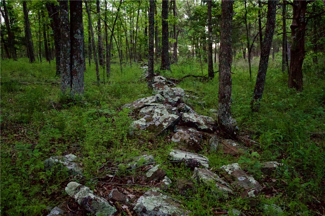 Image 43