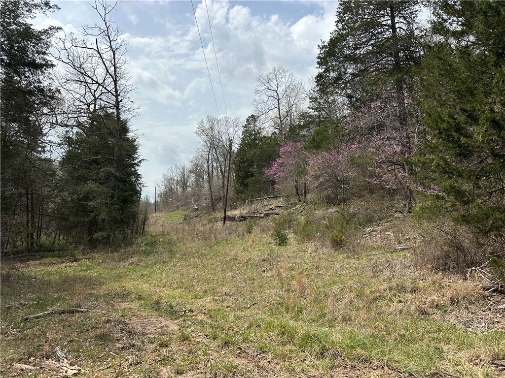 Image 12