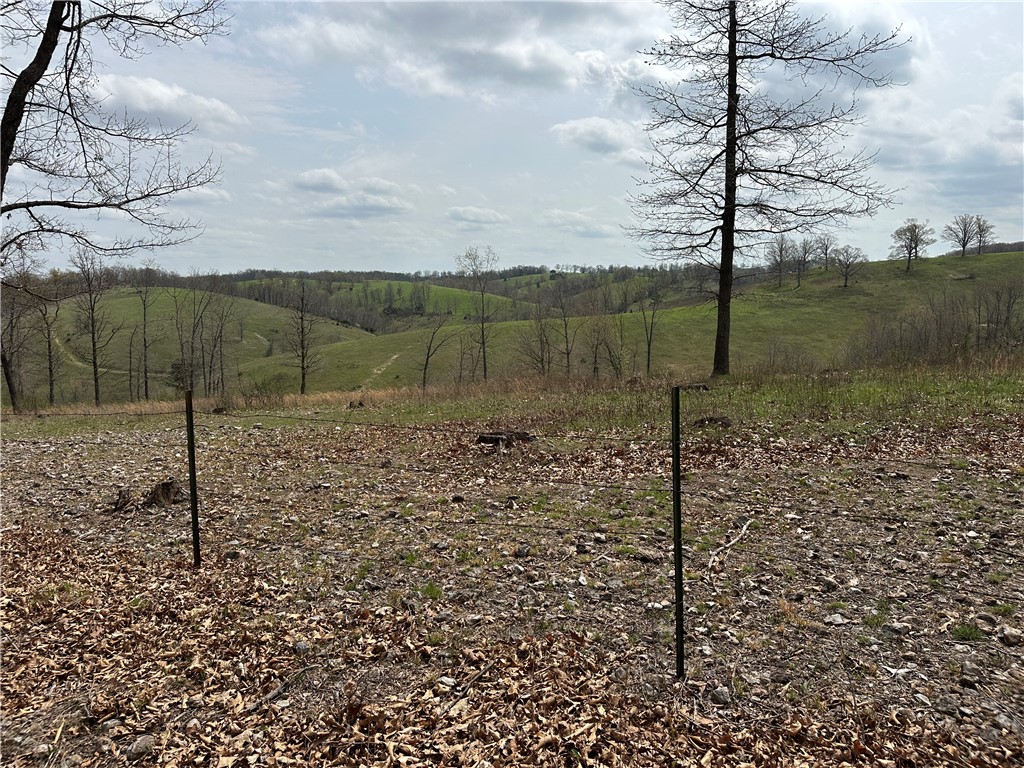 Image 15