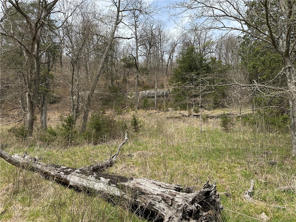 Image 9