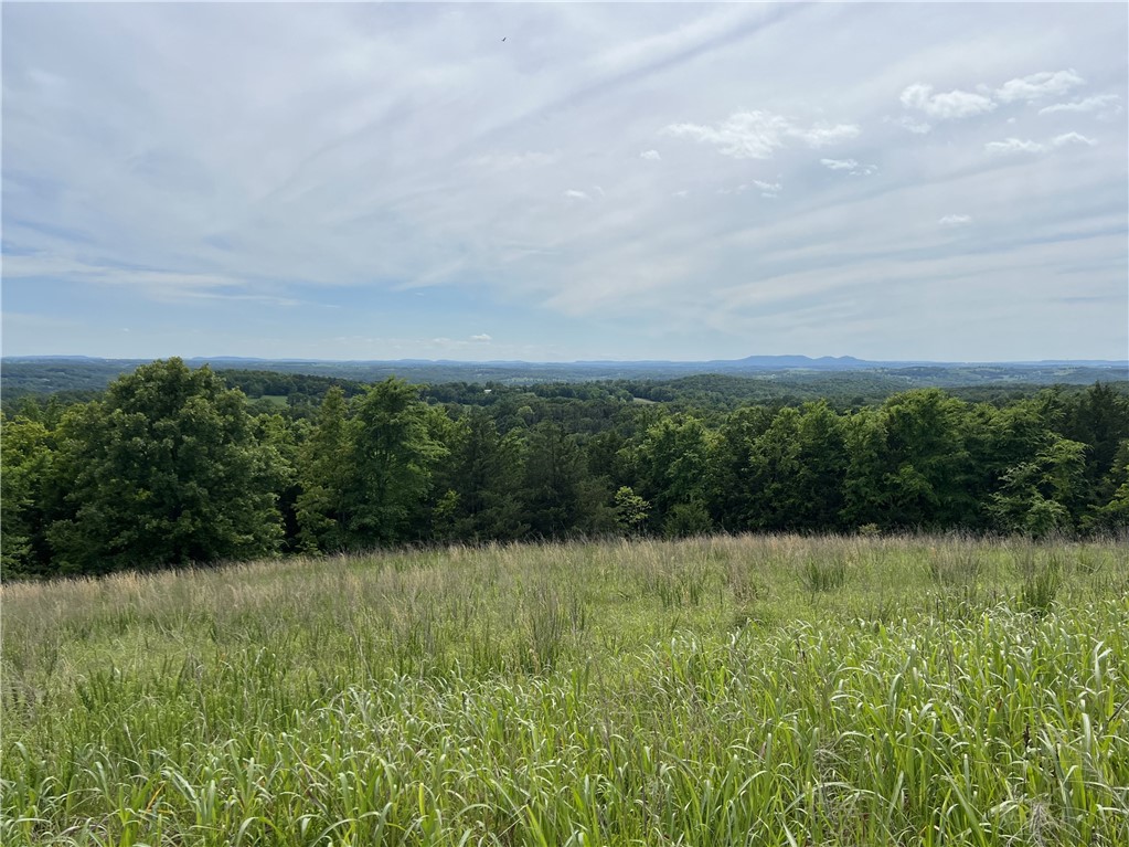 Ozark Haven Realty property-listing-thumbnail