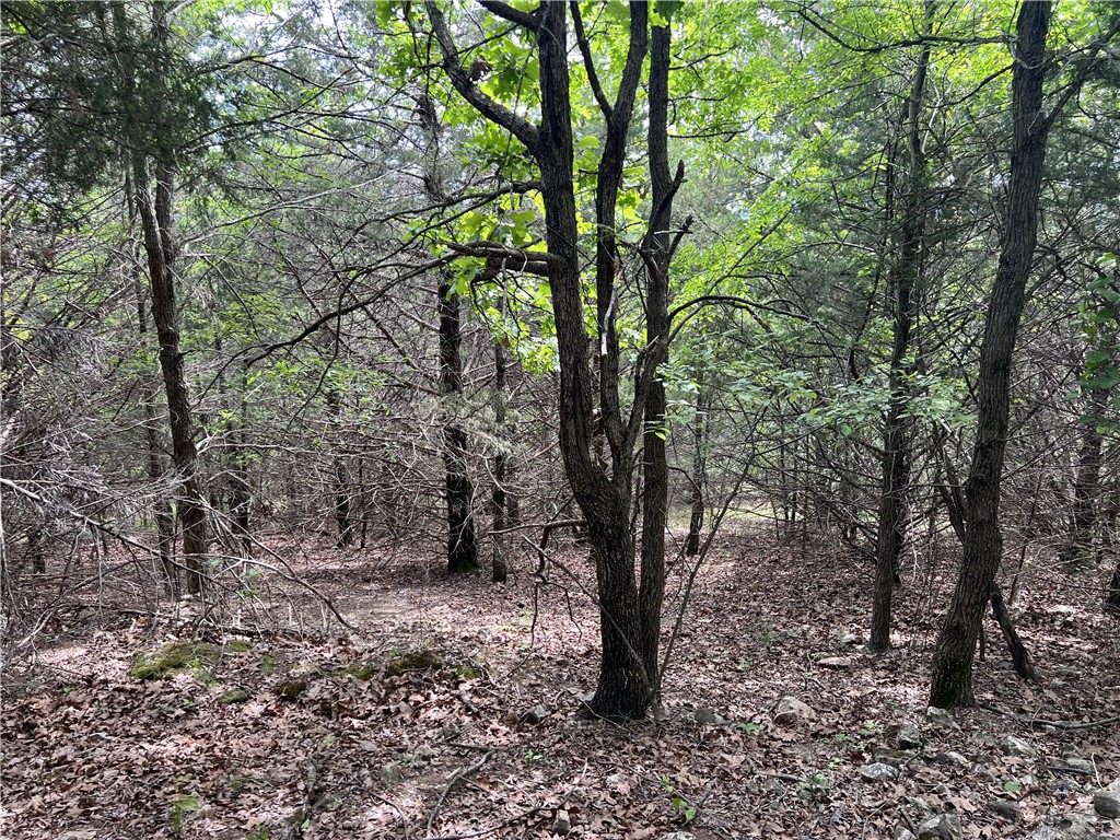 Image 9