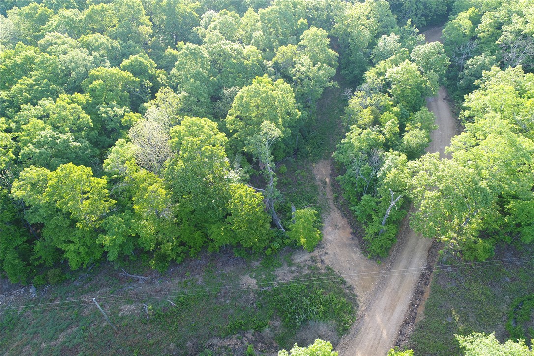 Image 13