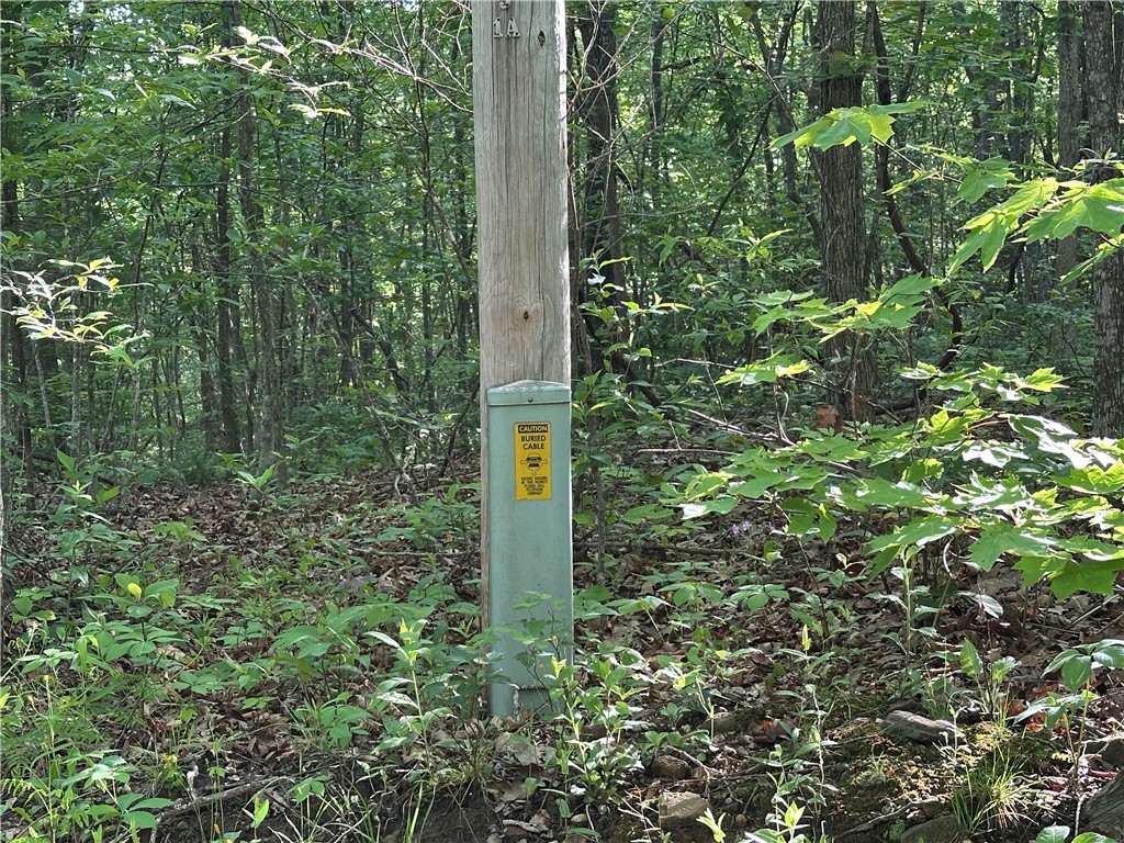 Image 18