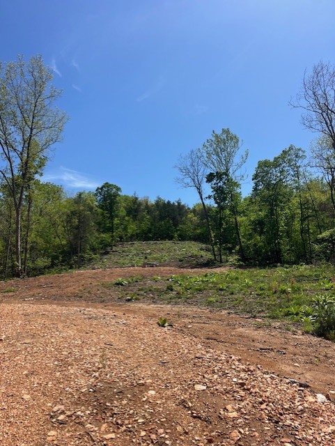 Image 10