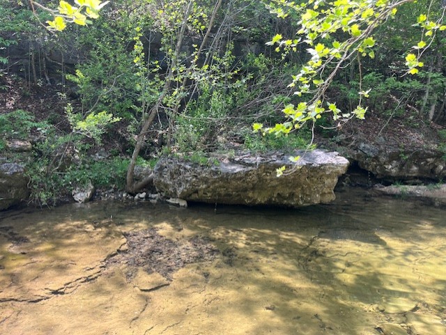Image 13