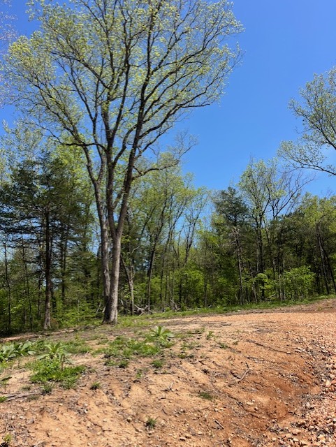 Image 15