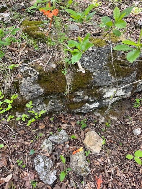 Image 18