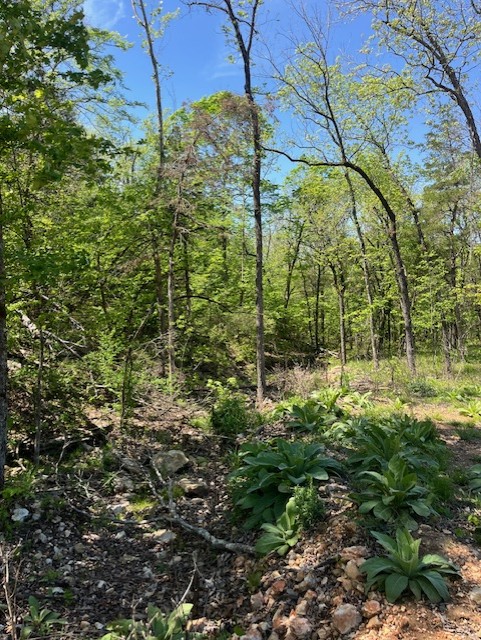 Image 6
