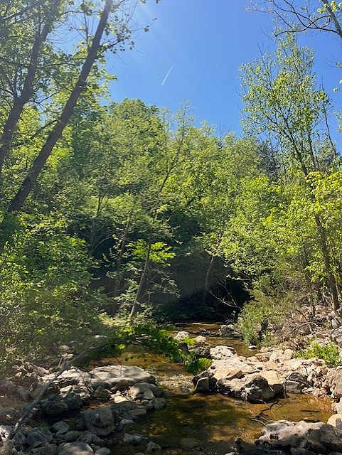 Image 7