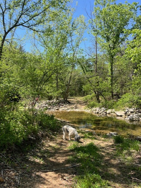 Image 8