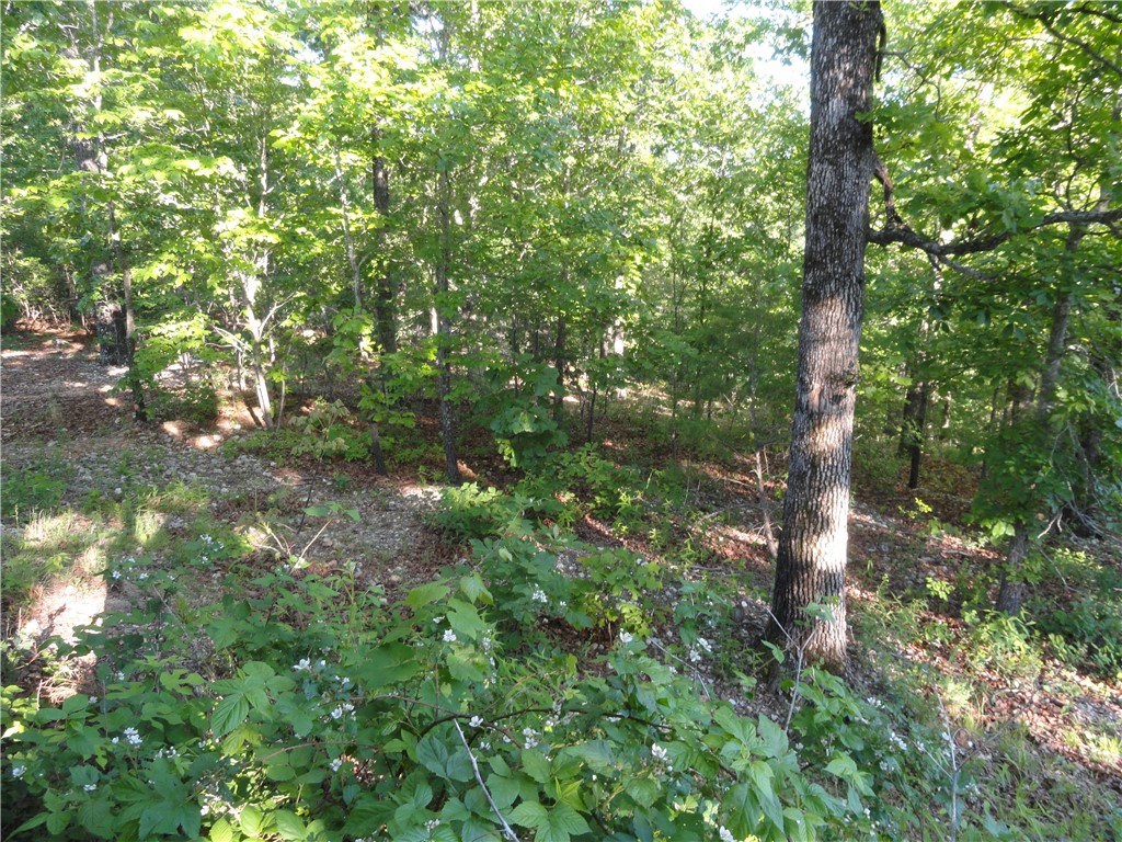Image 25