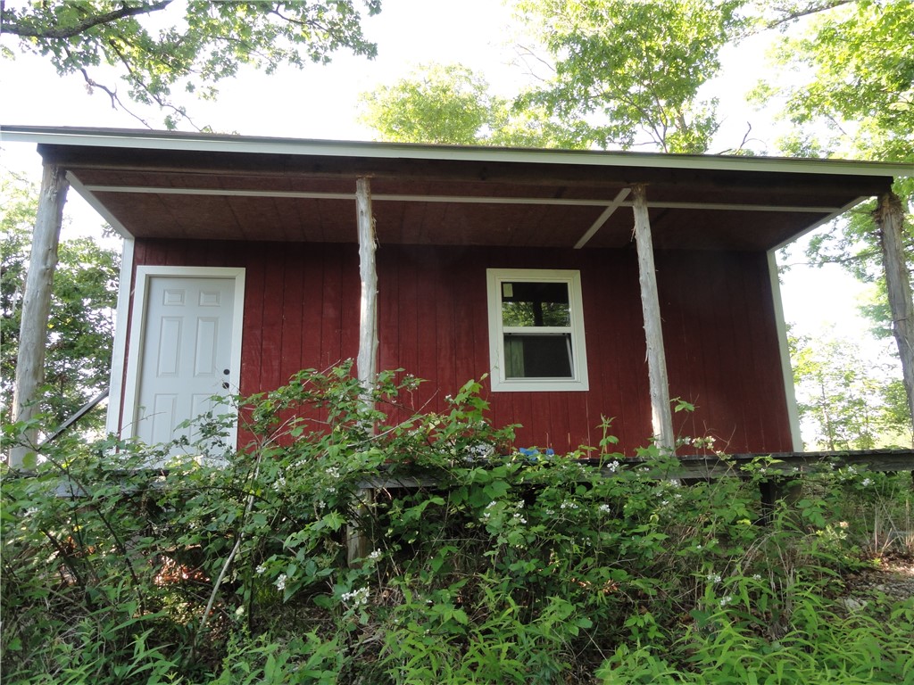 Image 6